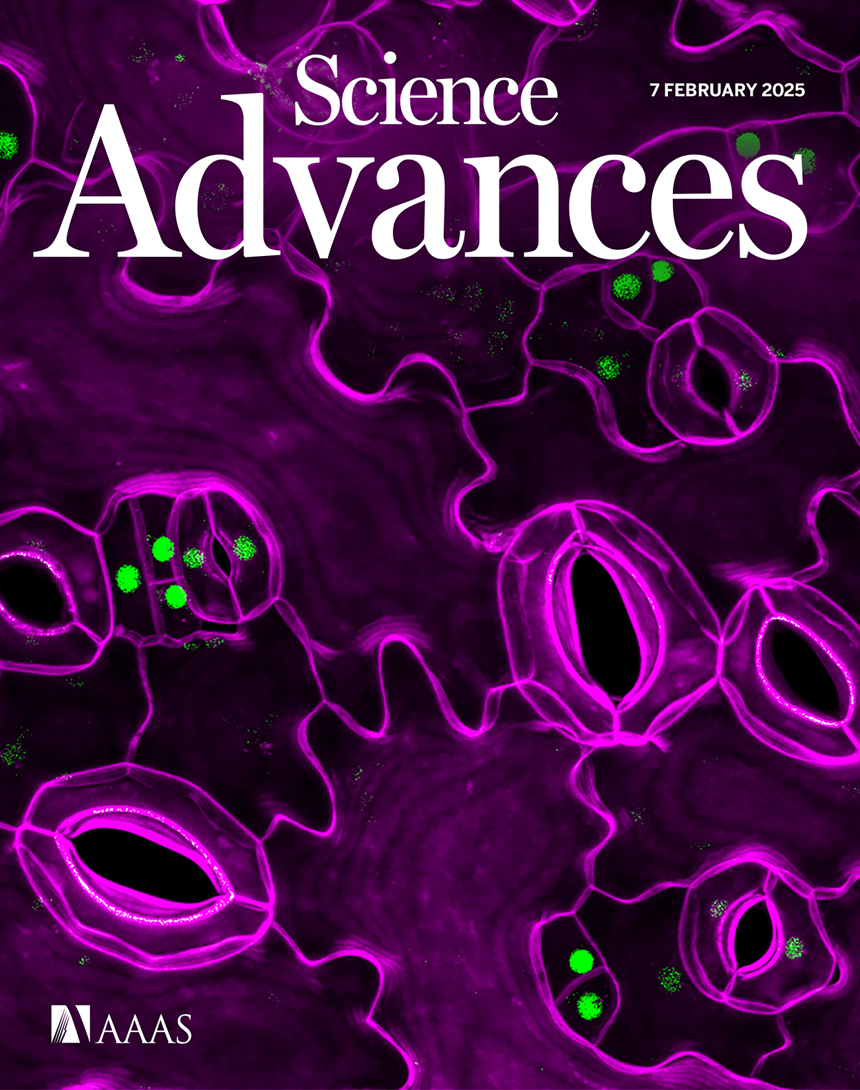 Science Advances cover featuring Asgard archaea research