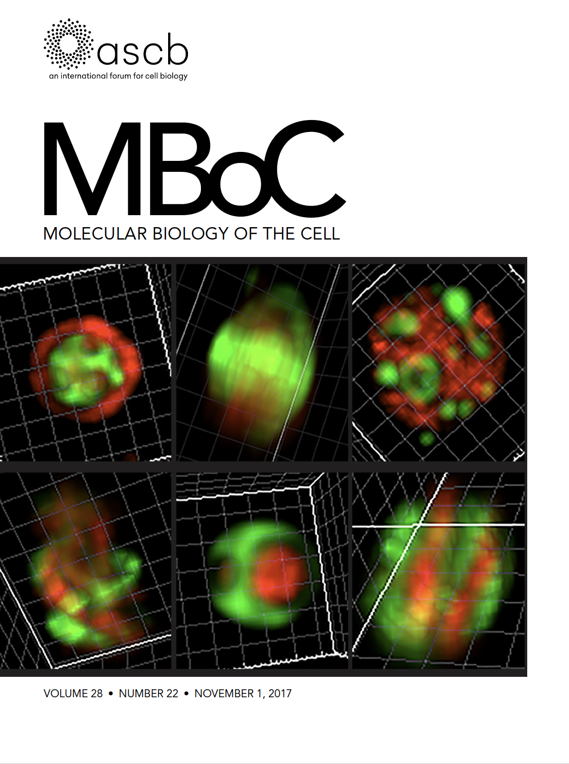 Microtubule bestiary cover