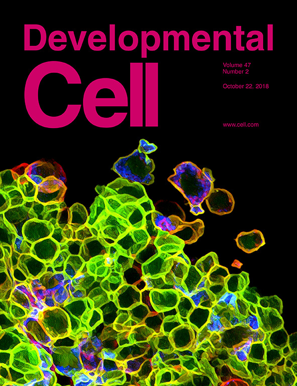 Cover featuring C. elegans tubulin study