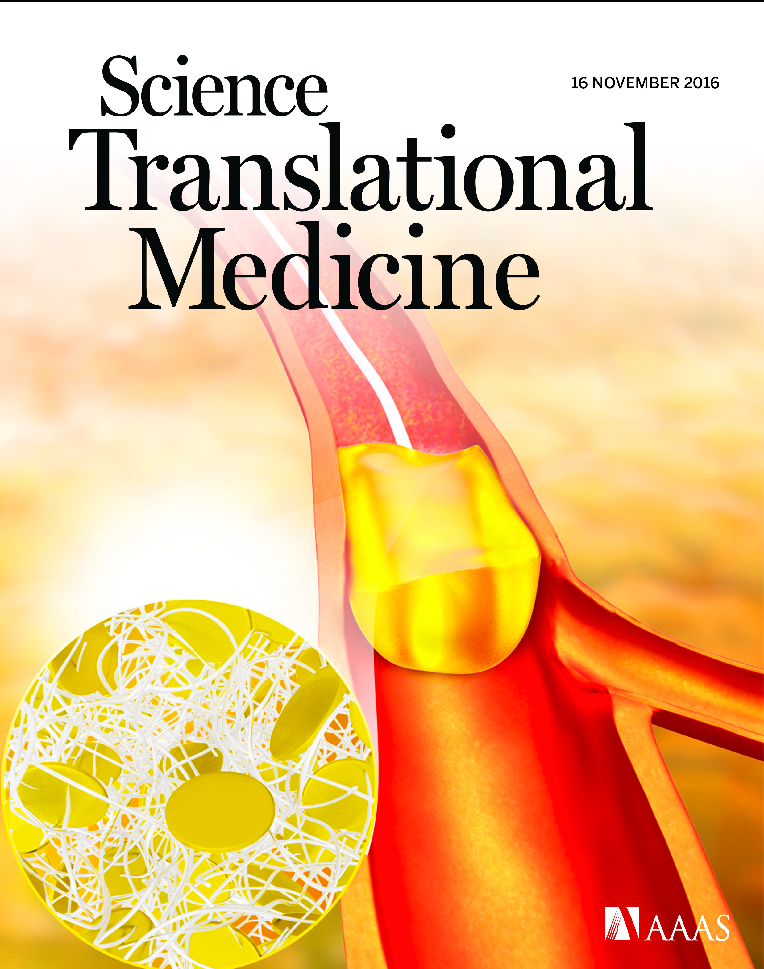 Diazonamide DZ-2384 microtubule curvature study