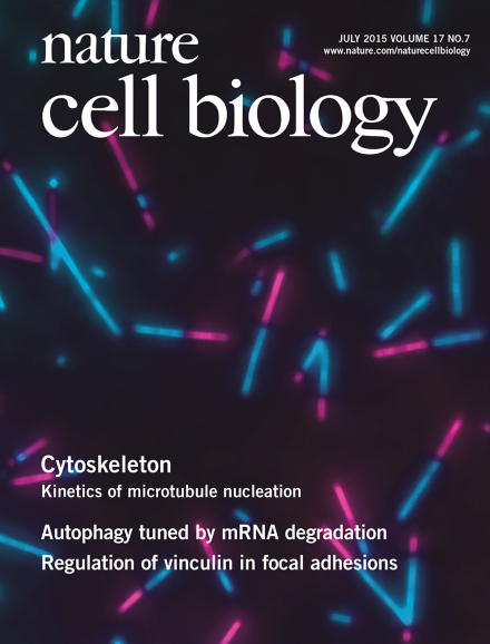 Microtubule nucleation cover