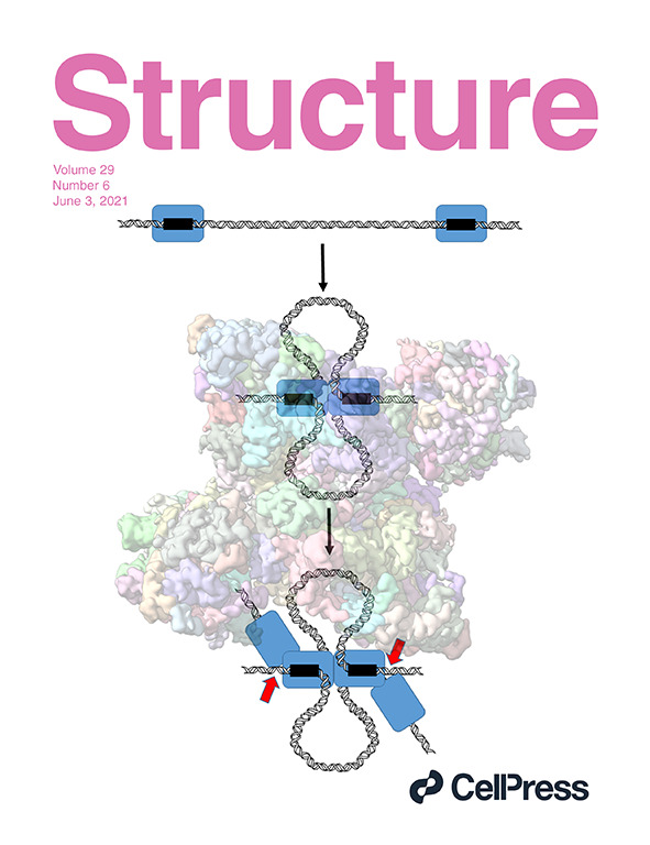 PACRG-MEIG1 complex structure