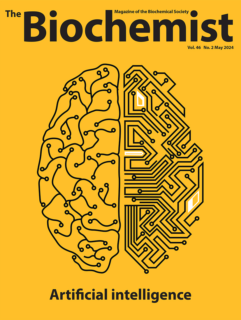 Protein structure prediction visualization
